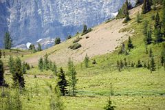 16 We Were Stopped Briefly As A Bear Walked From Our Trail Around This Hill On Hike To Mount Assiniboine.jpg